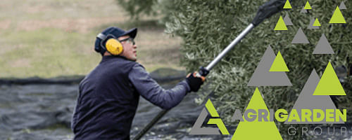 Abbacchiatore per olive a batteria Zanon Abbacchiatore per olive a batteria Zanon