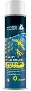Insetticida AEROSOL ANTIVESPE E CALABRONI bombola da 750ml ideale contro Vespe e Calabroni