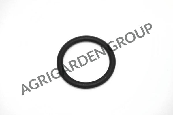 Anello di tenuta collettore aspirazione motore Briggs&Stratton 270344 s