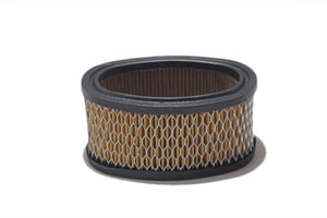 Filtro aria in carta con rete di protezione motore Briggs&Stratton