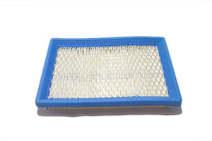 Filtro aria Briggs&Stratton 4102
