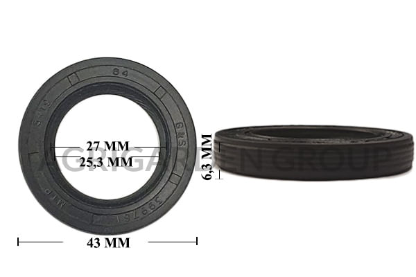 Paraolio Briggs&Stratton motore Quantum