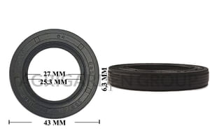 Paraolio Briggs&Stratton motore Quantum