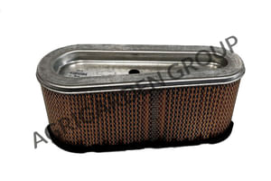 Filtro aria in carta con rete di protezione motore Briggs&Stratton 12