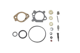 Kit membrane revisione carburatore Briggs & Stratton 493762