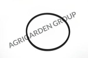 Guarnizione vaschetta Briggs&Stratton 280492