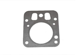 Guarnizione testata Briggs&Stratton 695166