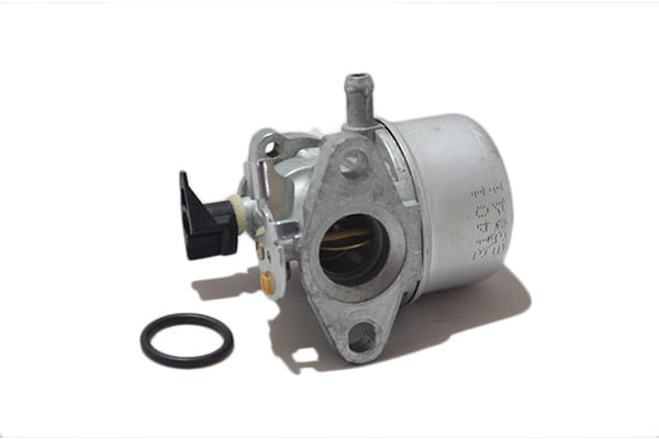 Carburatore Briggs&Stratton5 hp 493265