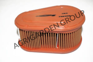 Filtro aria dov motore Briggs&Stratton 792038