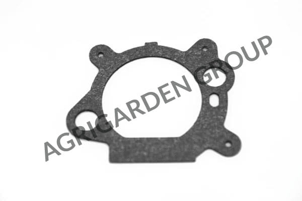Guarnizione coperchio filtro aira Briggs&Stratton 795629