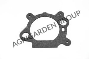 Guarnizione coperchio filtro aira Briggs&Stratton 795629