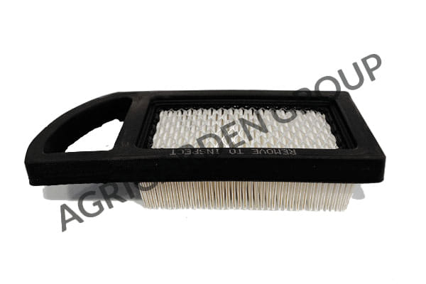 Filtro aria motore Briggs&Stratton 8 cv