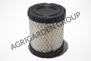 Filtro aria cleaner in carta motore Briggs&Stratton verticale