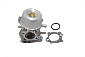 Carburatore Briggs&Stratton 799866