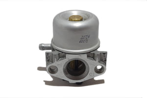 Carburatore Briggs&Stratton 799868