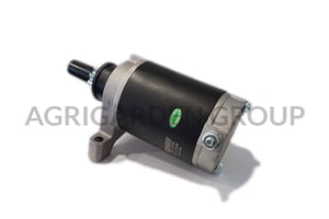 Motorino avviamento pignone 10 denti