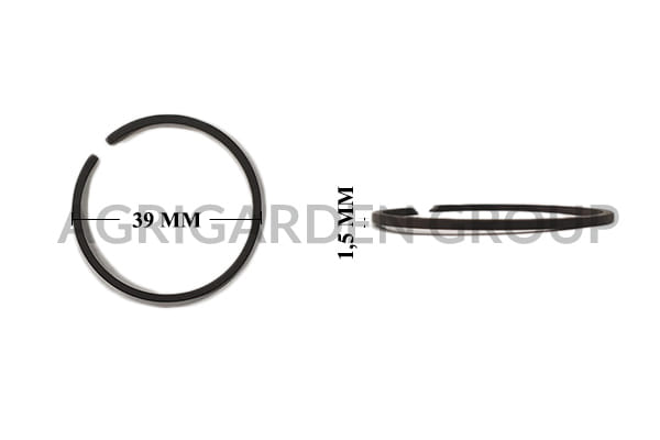 Segmento fascia elastica diametro 39 spessore 1