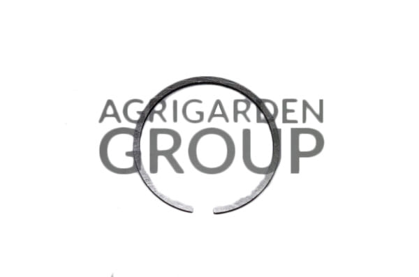 Segmento fascia elastica diametro 42 spessore 1