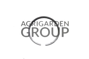 Segmento fascia elastica diametro 42 spessore 1