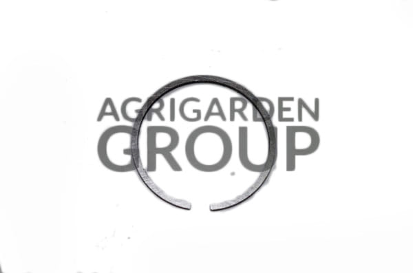 Segmento fascia elastica diametro 43 spessore 1