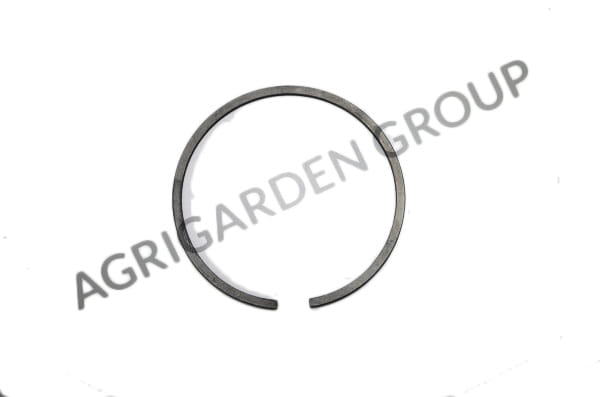 Segmento fascia elastica diametro 50 spessore 1