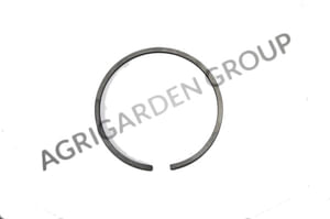 Segmento fascia elastica diametro 50 spessore 1