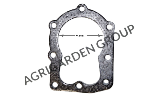 Guarnizione motore Tecumseh 5 hp