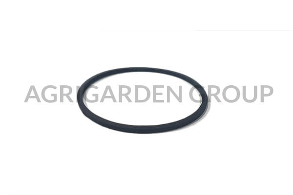 Guarnizione commerciale vaschetta galleggiante Briggs&Stratton 693981