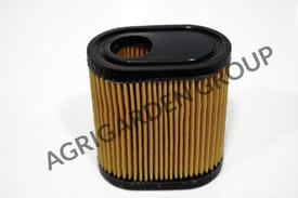 Filtro aria motore Tecumseh lv