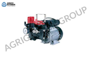 Elettropompa monofase AR252 1,5 HP, regolatore di pressione e manometro. Per trattamento, irrorare