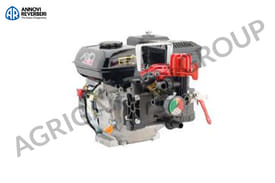 Motopompa AR 252/Rato 4T 5 HP, manometro, regolatore di pressione. Per trattamento