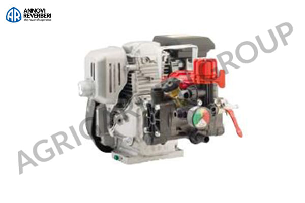 Motopompa AR 252/Honda 4T 4,8 HP, manometro, regolatore di pressione. Per trattamento