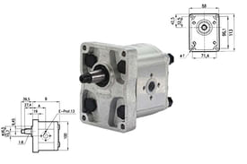 Pompa ad ingranaggio idraulica gruppo 2