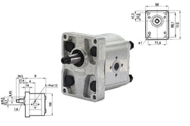 Pompa ad ingranaggio idraulica gruppo 2