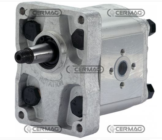 Pompa ad ingranaggi per Landini GRUPPO 2