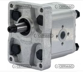 Pompa ad ingranaggi per Landini GRUPPO 2