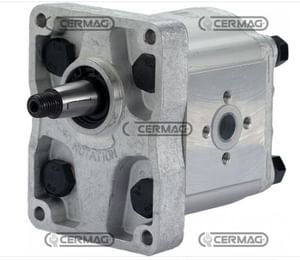 Pompa ad ingranaggi per Landini GRUPPO 2