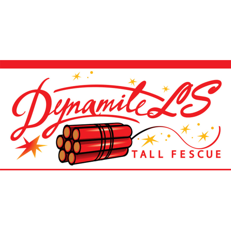 Seme per prato Padana Sementi DETONATE LS sacco da 5 KG