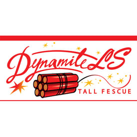 Seme per prato Padana Sementi DETONATE LS sacco da 5 KG