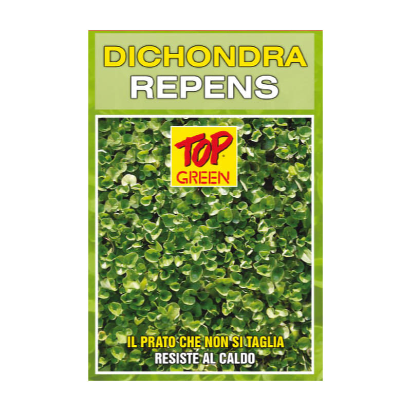 Seme per prato Padana Sementi DICHONDRA REPENS sacco da 25 KG