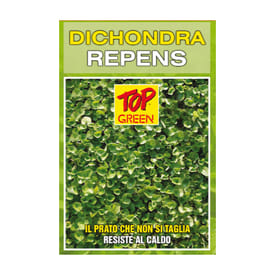 Seme per prato Padana Sementi DICHONDRA REPENS sacco da 25 KG