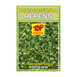 Seme per prato Padana Sementi DICHONDRA REPENS sacco da 25 KG