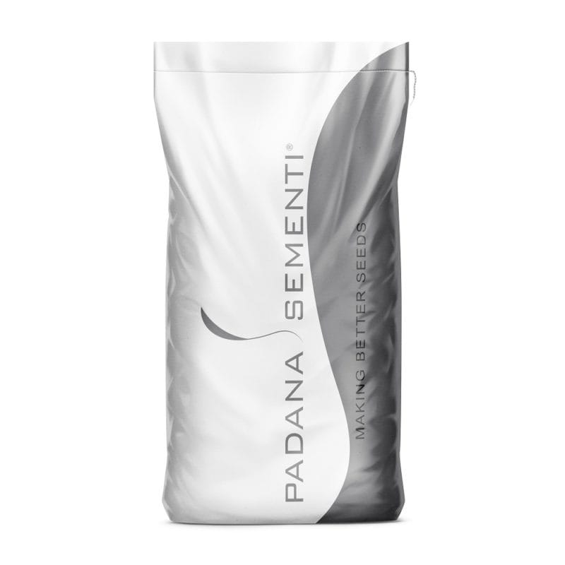 Seme per prato Padana Sementi FIREBIRD sacco da 25KG