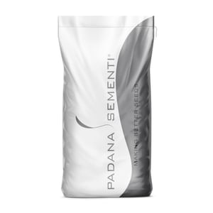 Seme per prato Padana Sementi FIREBIRD sacco da 25KG