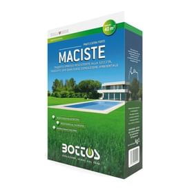 Seme per prato Maciste 1Kg Bottos