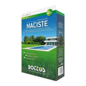 Seme per prato Maciste 1Kg Bottos