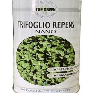Seme per prato Padana Sementi TRIFOGLIO REPENS NANO MIX busta da 0,1 KG