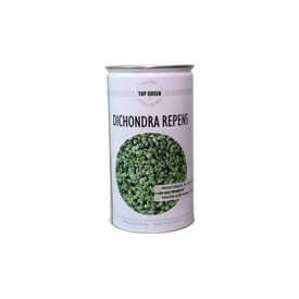 Seme per prato Padana Sementi DICHONDRA REPENS lattina da 1 KG