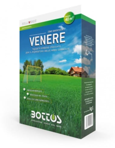 Seme per prato Venere 1Kg Bottos